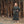 Load image into Gallery viewer, Afsana Three Tiered Maxi Dress - Forest Green