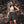 Load image into Gallery viewer, Saroj Short